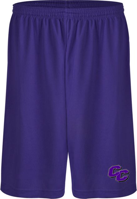 Curry College Performance Classic 9 Inch Short Curry College Primary Athletic Mark - ONLINE ONLY