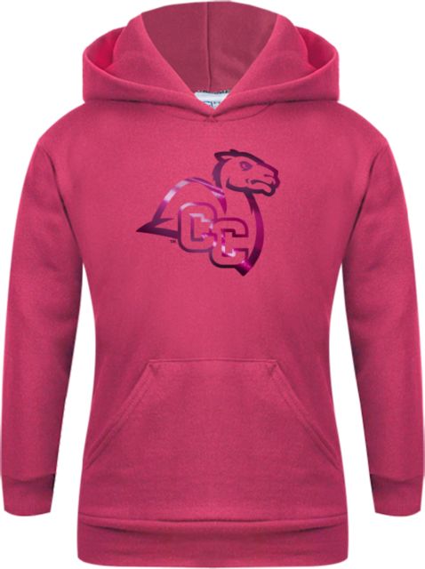 Connecticut College Youth Fleece Hoodie Camel with CC  Foil - ONLINE ONLY
