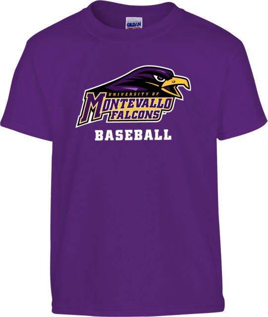 Montevallo Youth T Shirt Montevallo Falcons Baseball - ONLINE ONLY