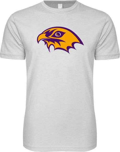 CC Denver Next Level SoftStyle T Shirt CityHawks Head