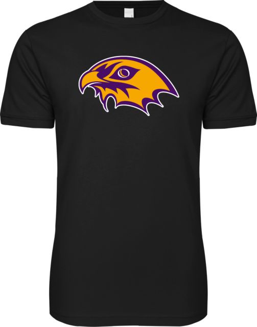 CC Denver Next Level SoftStyle T Shirt CityHawks Head