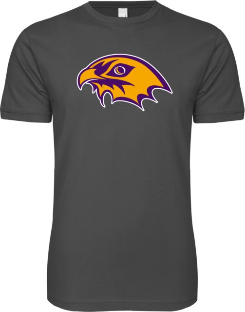 CC Denver Next Level SoftStyle T Shirt CityHawks Head
