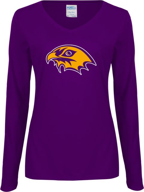 CC Denver Womens Long Sleeve V Neck Tee  CityHawks Head