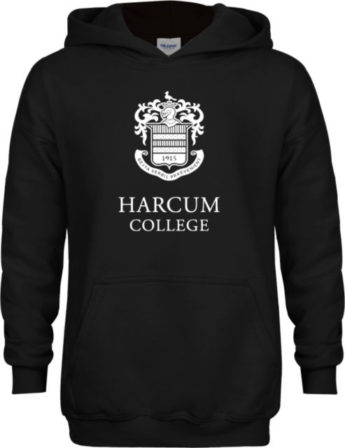 Harcum Youth Fleece Hoodie Primary Mark - ONLINE ONLY
