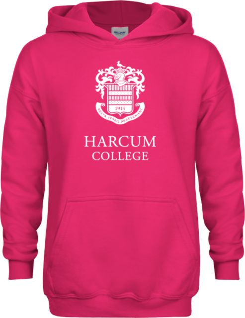 Harcum Youth Fleece Hoodie Primary Mark - ONLINE ONLY