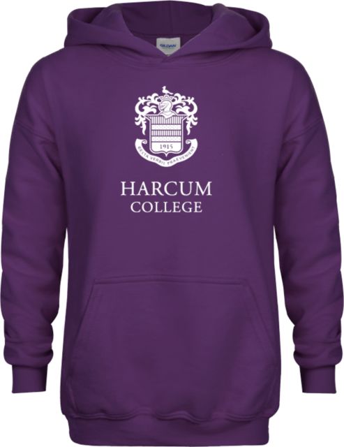 Harcum Youth Fleece Hoodie Primary Mark - ONLINE ONLY