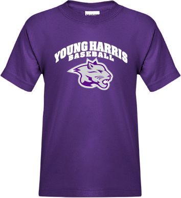 Young Harris Youth T Shirt Baseball - ONLINE ONLY
