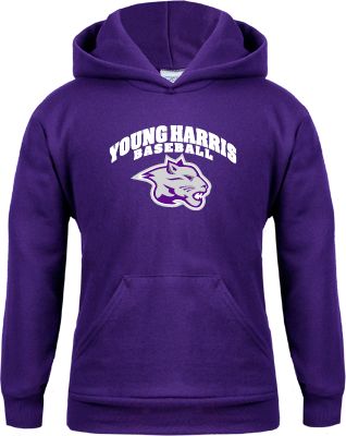 Young Harris Youth Fleece Hoodie Baseball - ONLINE ONLY