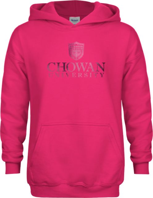 Chowan Youth Fleece Hoodie Primary Mark  Foil - ONLINE ONLY