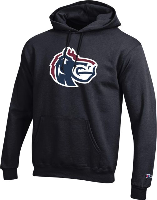 FDU Knights Champion Fleece Hoodie Fairleigh Knightro Head - ONLINE ONLY