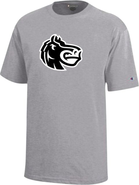 FDU Knights Champion Youth Short Sleeve Tee Fairleigh Knightro Head - ONLINE ONLY
