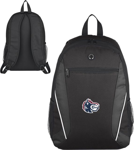 FDU Knights Homerun Computer Backpack Fairleigh Knightro Head - ONLINE ONLY