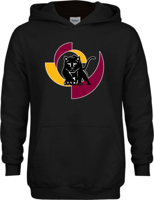 Hartnell Youth Fleece Hoodie Mascot Mark - ONLINE ONLY