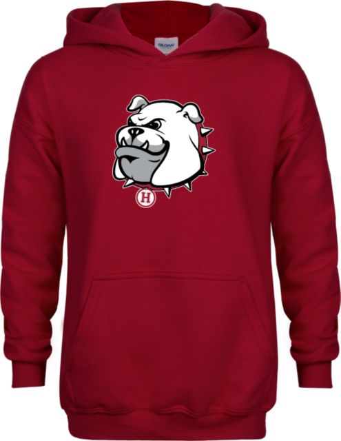 Holmes Youth Fleece Hoodie Holmes Community College Bulldog Head - ONLINE ONLY