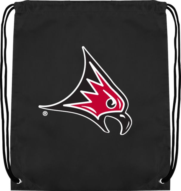Wisconsin River Falls Drawstring Backpack Primary Mascot - ONLINE ONLY