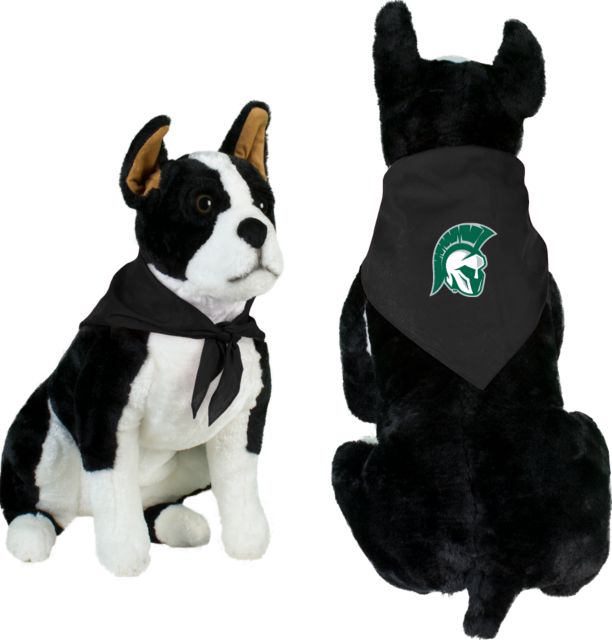 Illinois Wesleyan Pet Bandana Head Mark - ONLINE ONLY