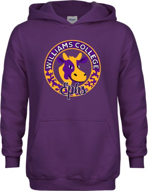 Williams college hot sale hoodie