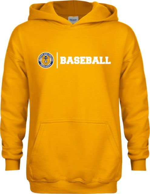 Western New England Youth Fleece Hoodie Baseball - ONLINE ONLY
