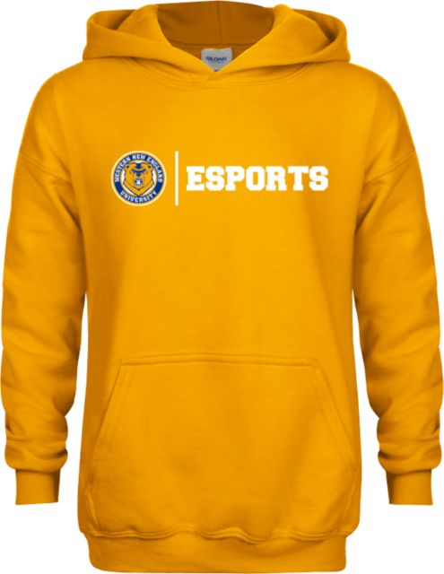 Western New England Youth Fleece Hoodie Esports - ONLINE ONLY