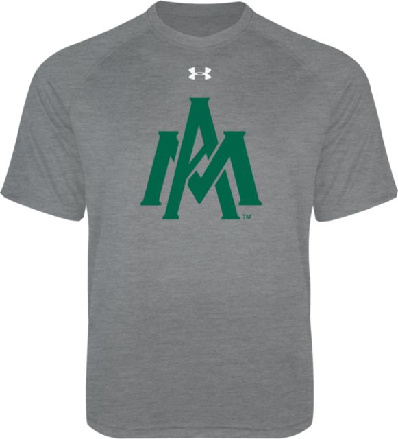 Arkansas Monticello Under Armour Youth Tech Tee Primary Mark - ONLINE ONLY