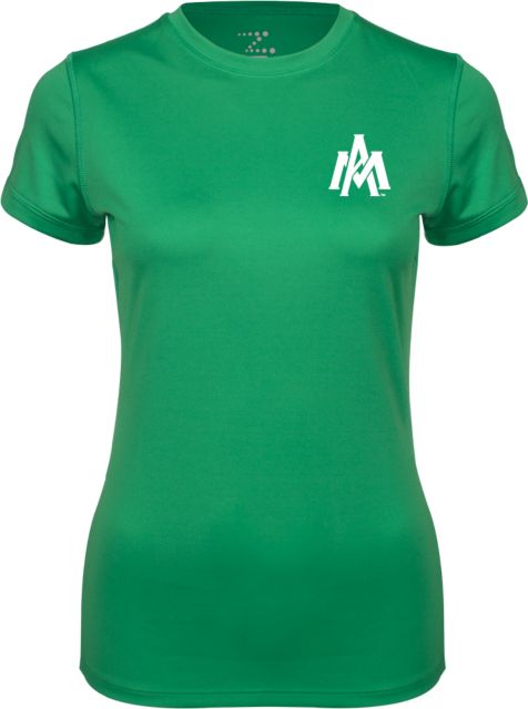 Arkansas Monticello Womens Performance Short Sleeve Tee Primary Mark - ONLINE ONLY