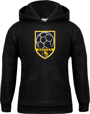 Wentworth Youth Fleece Hoodie Soccer Shield Design - ONLINE ONLY