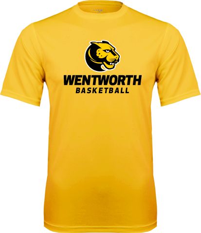 Wentworth Performance Tee Basketball - ONLINE ONLY