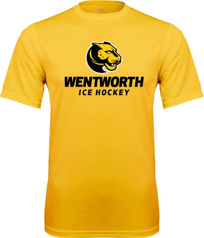 Wentworth Performance Tee Ice Hockey - ONLINE ONLY
