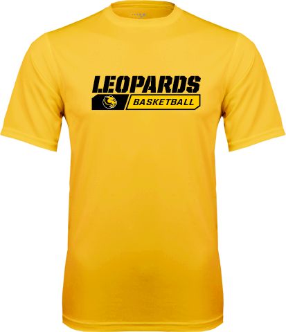 Wentworth Performance Tee Basketball Block Design - ONLINE ONLY