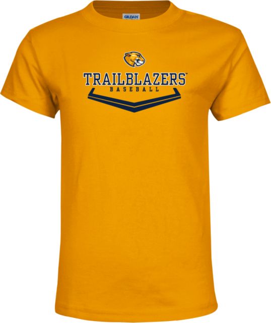 Baseball Shirt Designs - Baseball Team T-Shirt Design - Plate