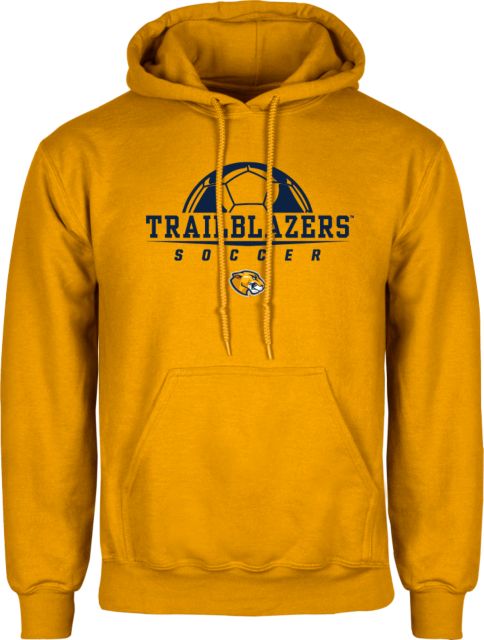 Massachusetts College Fleece Hoodie Soccer Half Ball Design ONLINE ONLY