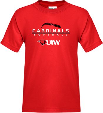 NEW FASHION 2023 Arizona Cardinals T-shirts lightning graphic gift for men