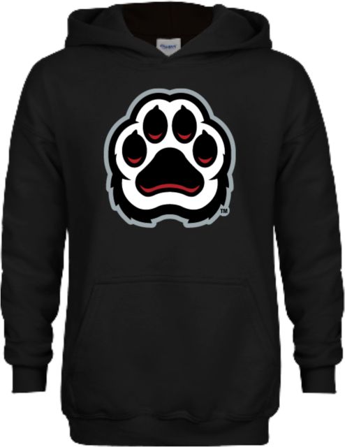 D Youville Youth Fleece Hoodie D Youville Athletics Paw