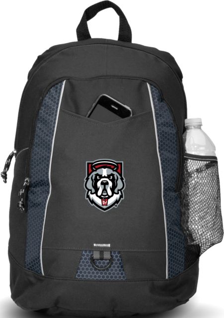 D Youville Impulse Backpack D Youville Athletics Mascot