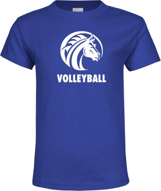Fayetteville Youth T Shirt Volleyball - ONLINE ONLY