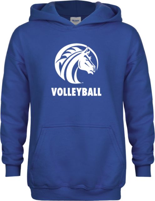 Fayetteville Youth Fleece Hoodie Volleyball - ONLINE ONLY