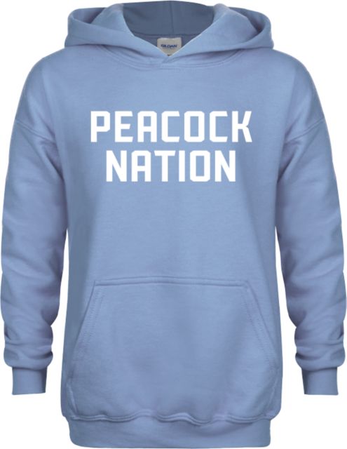 Saint Peters Youth Fleece Hoodie Saint Peters Fanbase Logootype - ONLINE ONLY