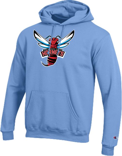 Delaware State Champion Hood Delaware State Primary Athletic Mark - ONLINE ONLY
