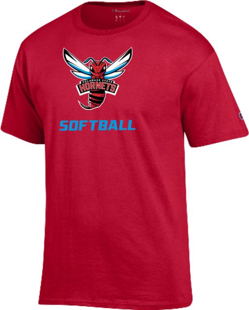 Delaware State Champion T Shirt Delaware State Softball - ONLINE ONLY