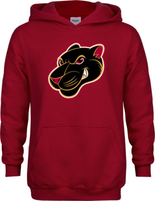 Virginia CC System Youth Cardinal Fleece Hoodie Southside Virginia Community College Mascot - ONLINE ONLY
