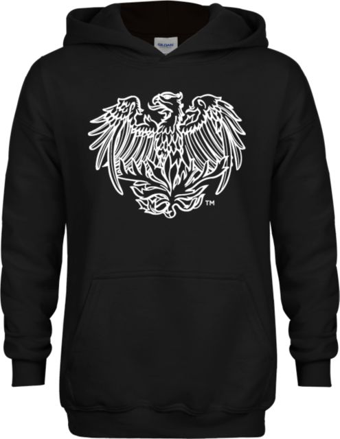 Chicago Youth Fleece Hoodie University of Chicago Phoenix - ONLINE ONLY