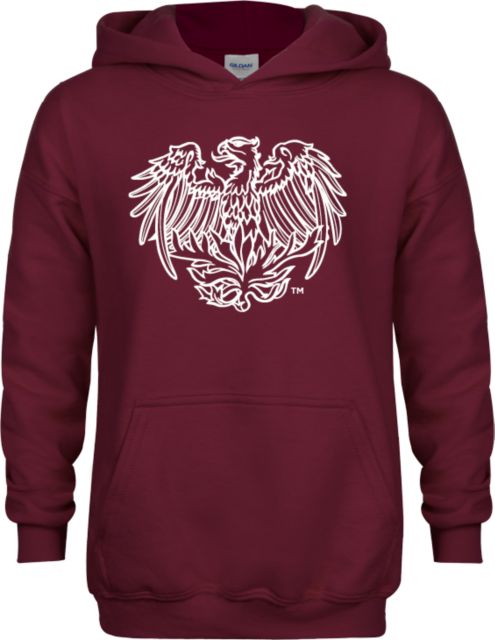 Chicago Youth Fleece Hoodie University of Chicago Phoenix - ONLINE ONLY