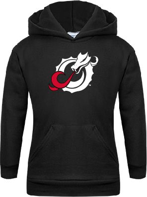 MSUM Youth Fleece Hoodie Dragon Mark - ONLINE ONLY