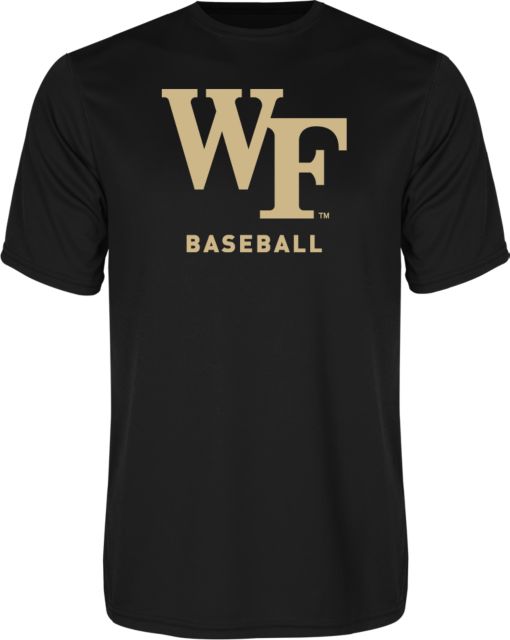 Wake Forest Performance Tee Baseball - ONLINE ONLY