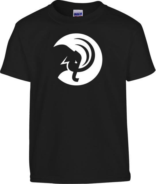 Amherst College Youth T Shirt Amherst College Circle Mammoth - ONLINE ONLY