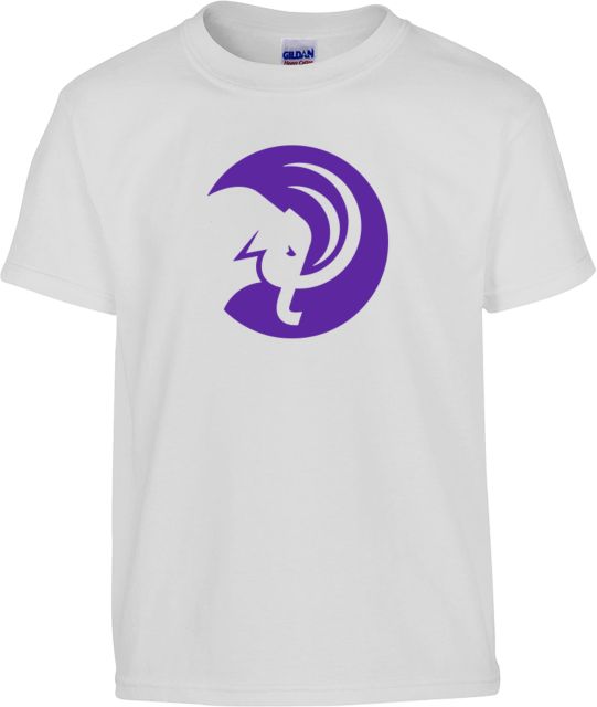 Amherst College Youth T Shirt Amherst College Circle Mammoth - ONLINE ONLY