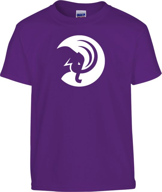 Amherst College Youth T Shirt Amherst College Circle Mammoth - ONLINE ONLY