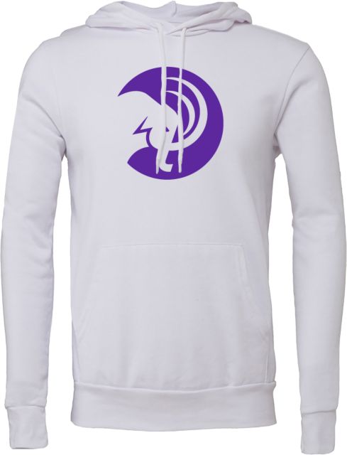 Amherst College Bella + Canvas Fleece Hood Amherst College Circle Mammoth - ONLINE ONLY