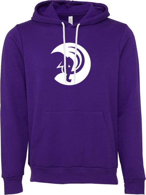 Amherst College Bella + Canvas Fleece Hood Amherst College Circle Mammoth - ONLINE ONLY