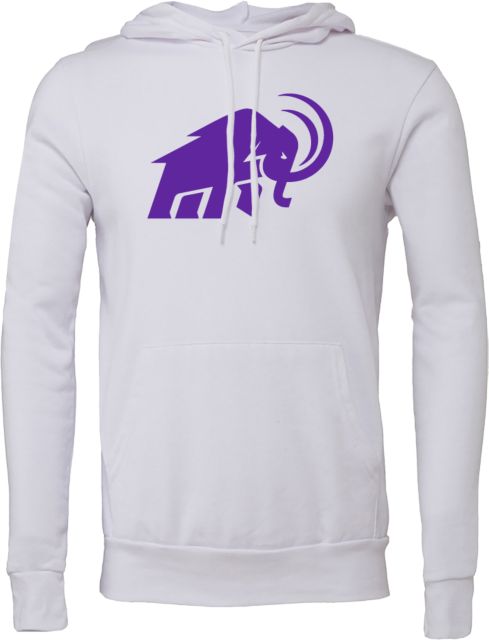Amherst College Bella + Canvas Fleece Hood Amherst College Mammoth - ONLINE ONLY